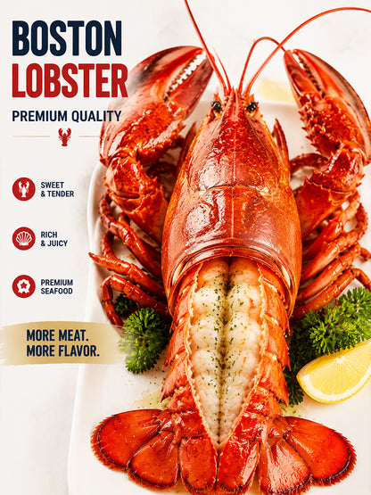 Maine Lobster Tail - Succulent SeafoodFavorite with Rich Flavor & PremiumQuality